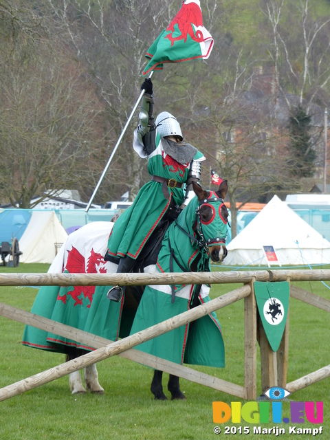 FZ013103 Welsh knight